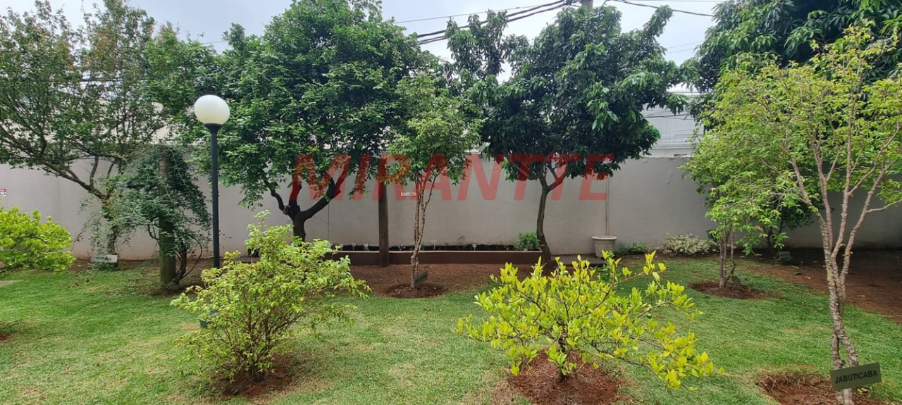 Apartamento de 63m² com 2 quartos em Vila Guilherme