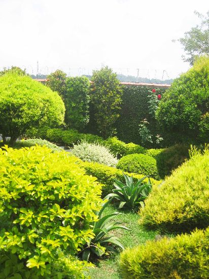 Casa terrea de 300m² com 3 quartos em Horto Florestal
