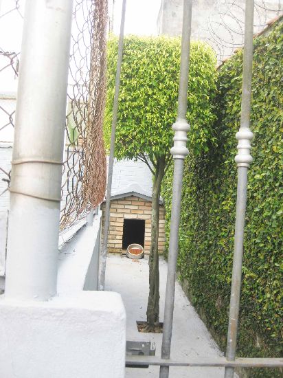 Casa terrea de 300m² com 3 quartos em Horto Florestal