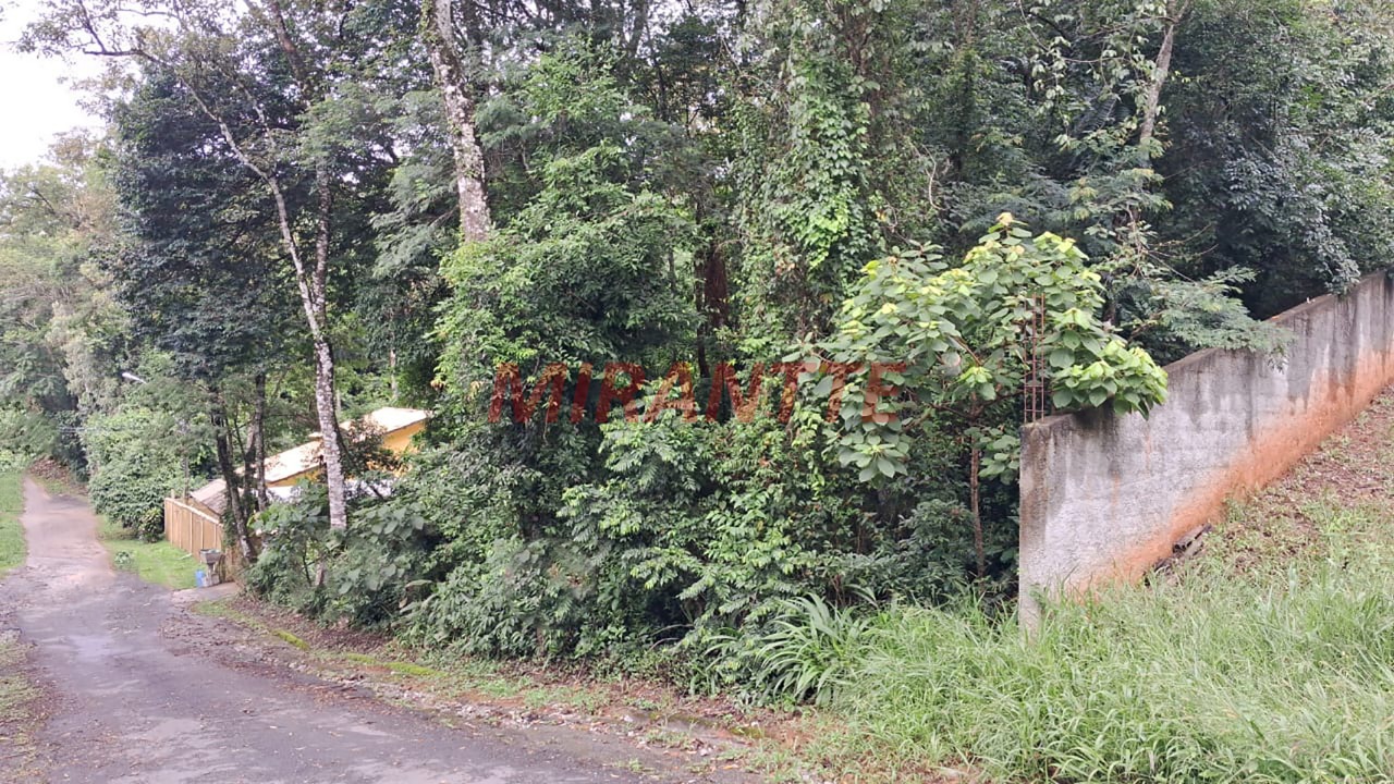 R2 Image 236406 #7