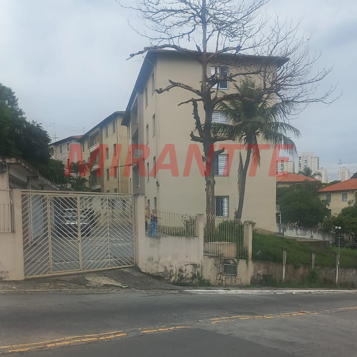 Apartamento de 90m² com 3 quartos em Tucuruvi