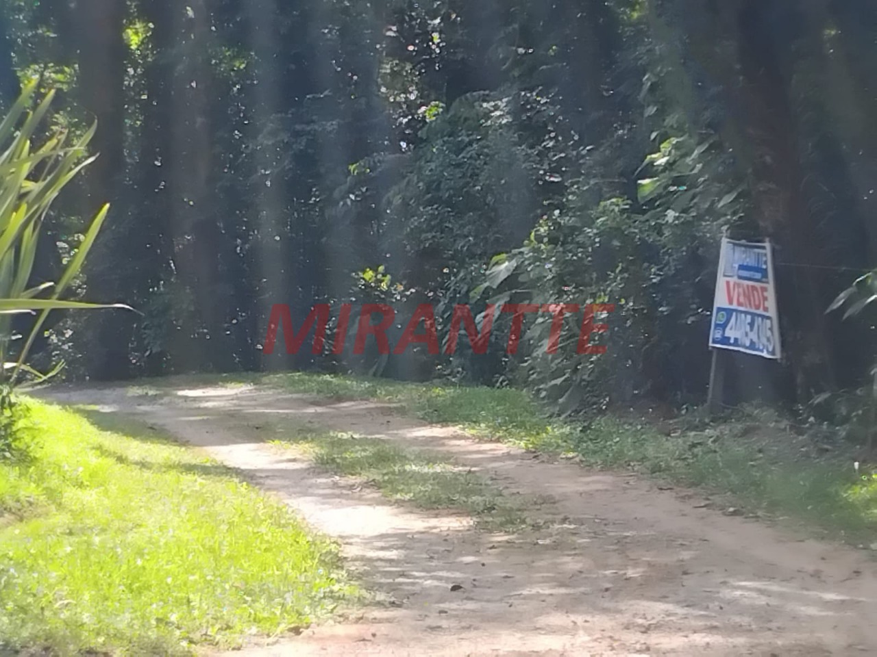Terreno de 5442m² em Serra da Cantareira