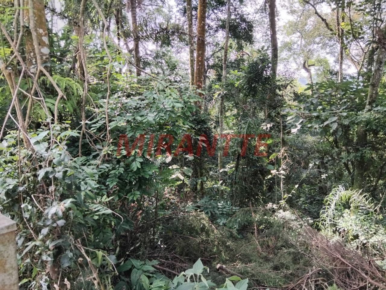 Terreno de 5442m² em Serra da Cantareira