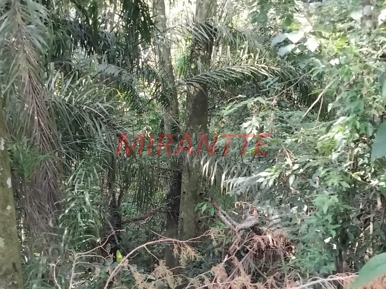 Terreno de 5442m² em Serra da Cantareira