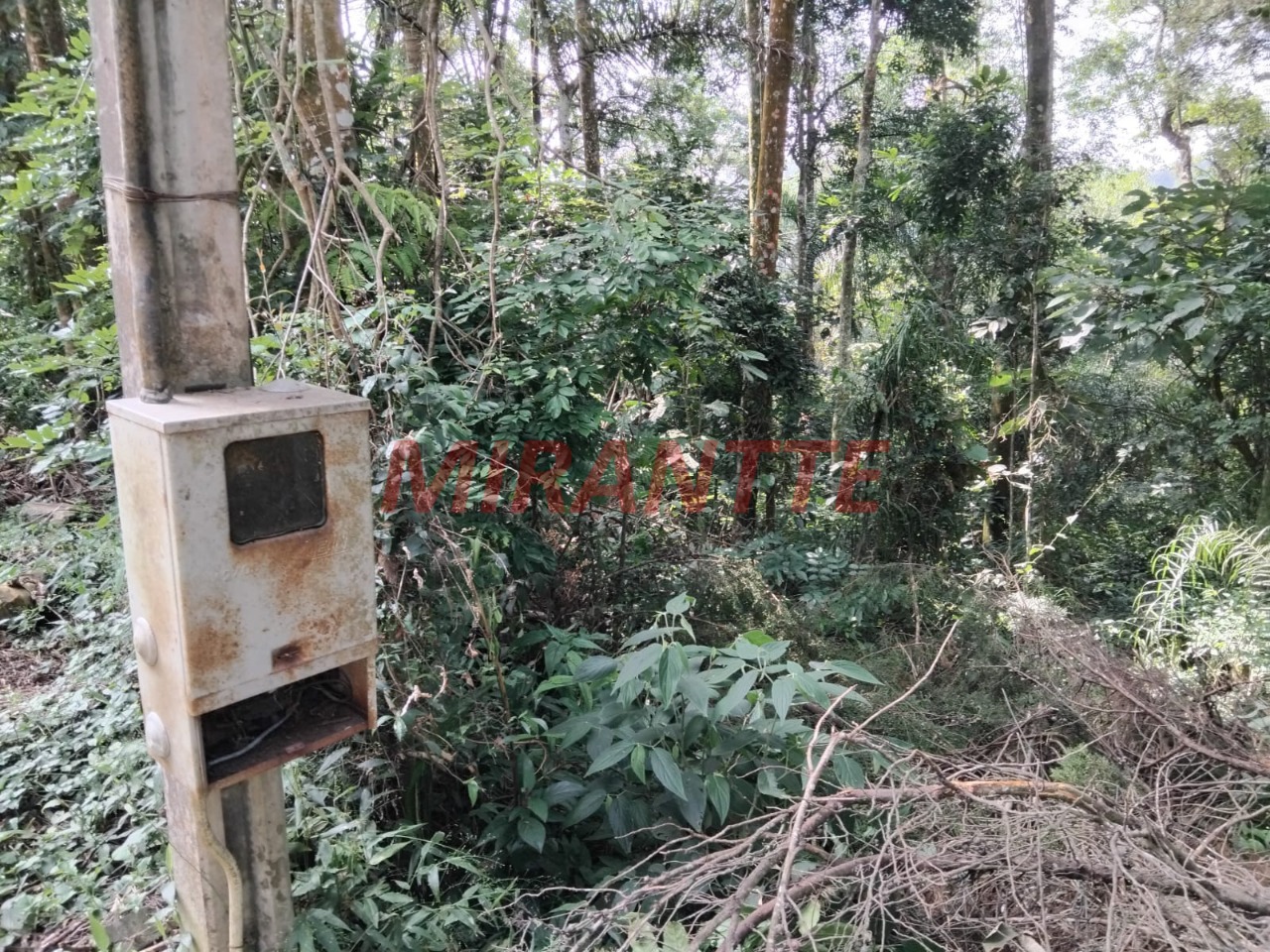 Terreno de 5442m² em Serra da Cantareira