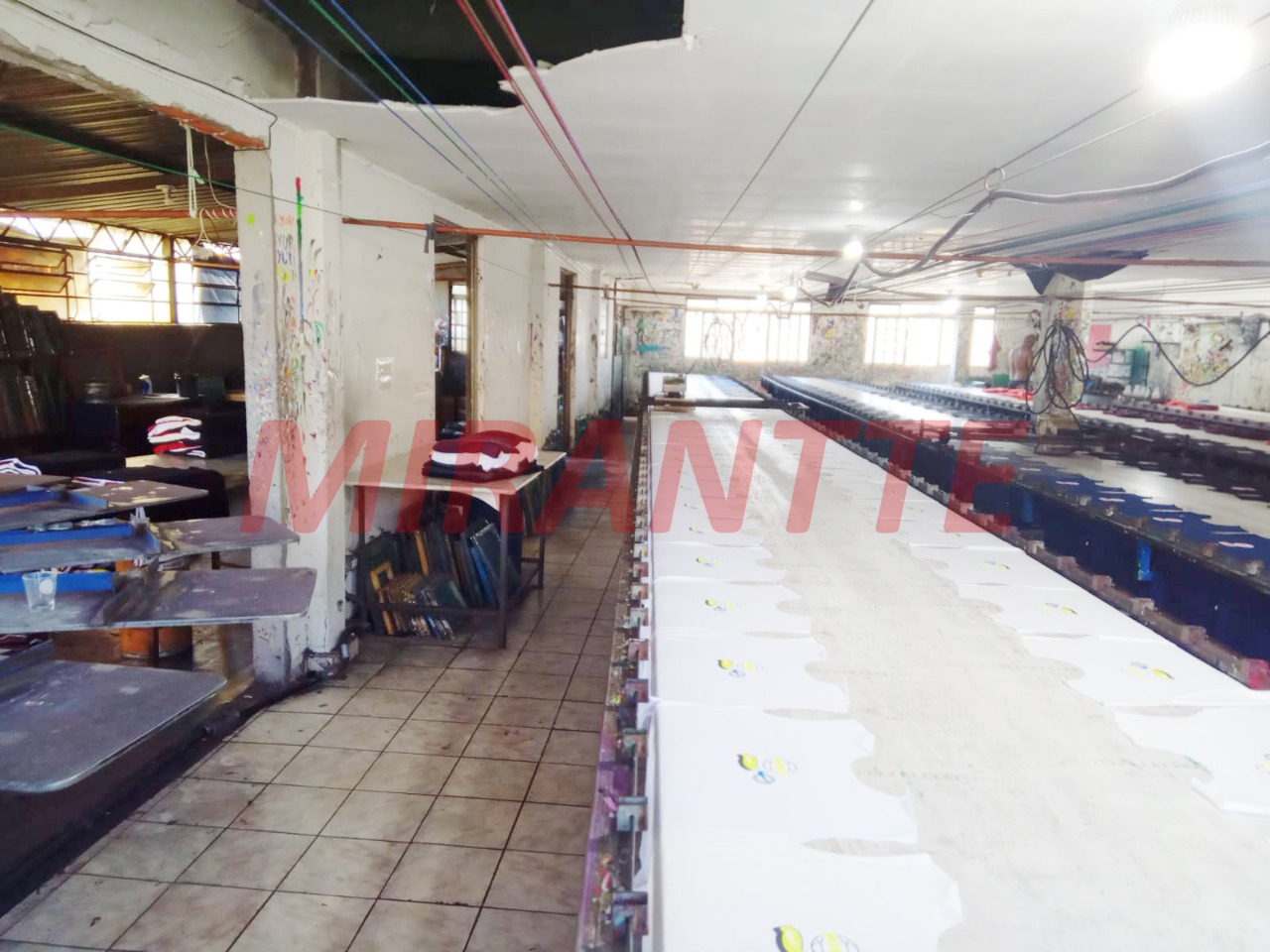 R2 Image 215615 #11