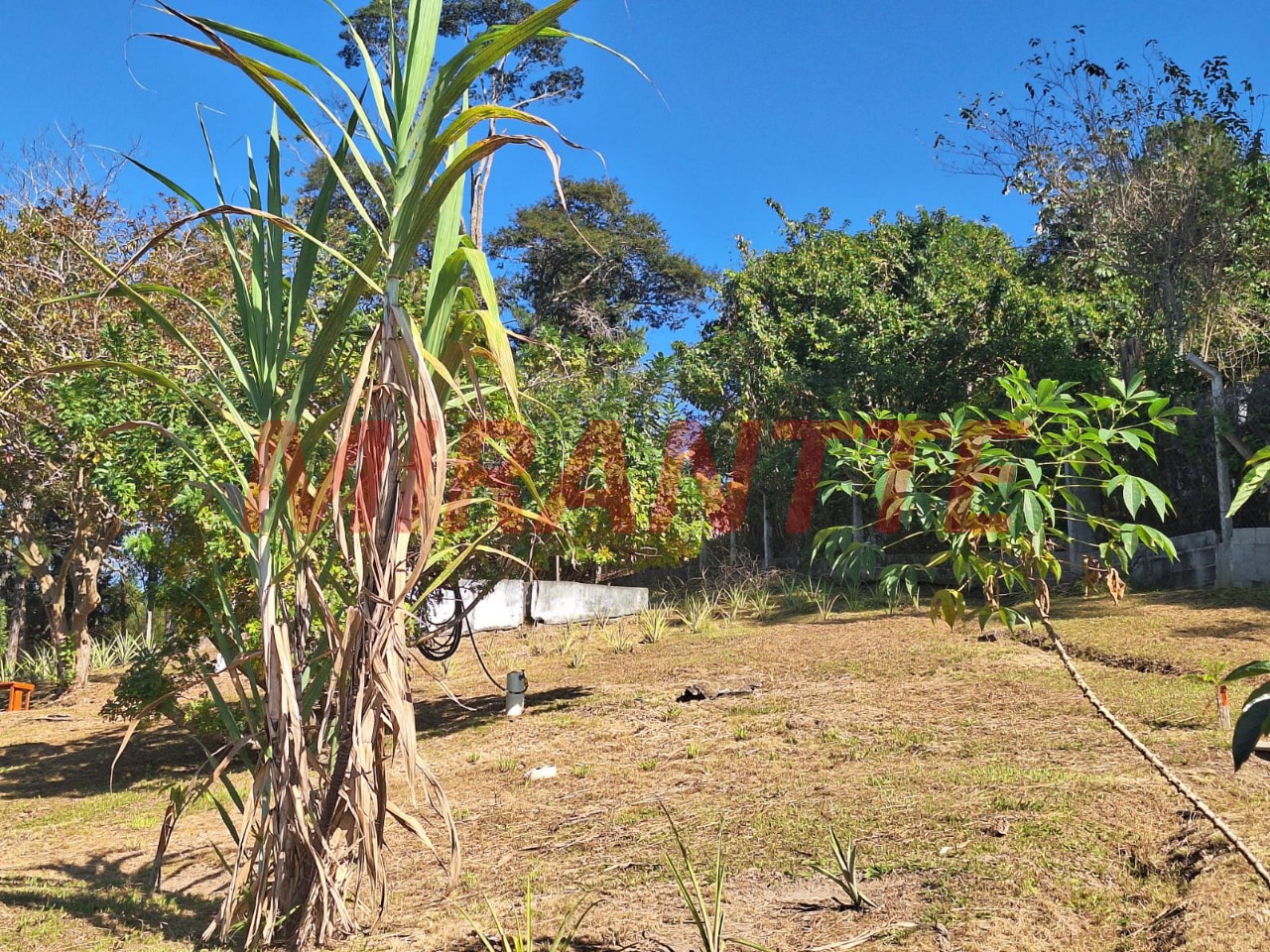 Cond. fechado de 500m² com 3 quartos em Tamanduá
