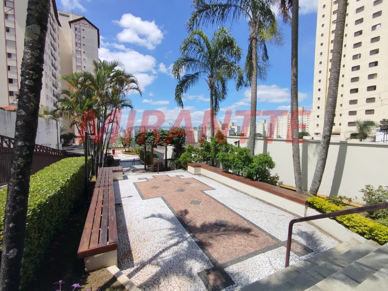 Apartamento de 67m² com 3 quartos em Horto Florestal