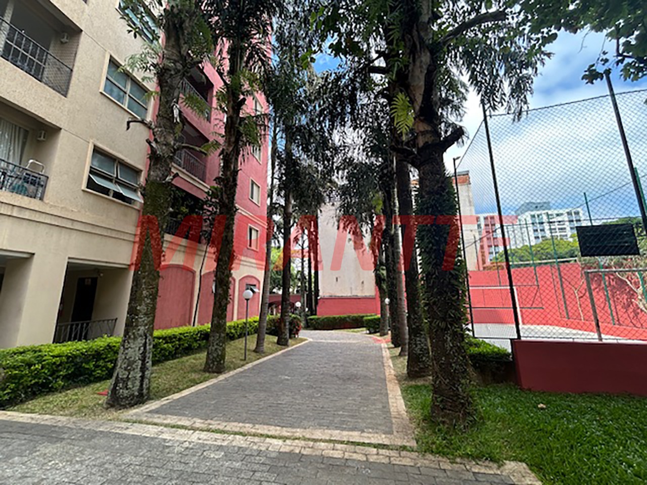 Apartamento de 62m² com 3 quartos em Lauzane Paulista