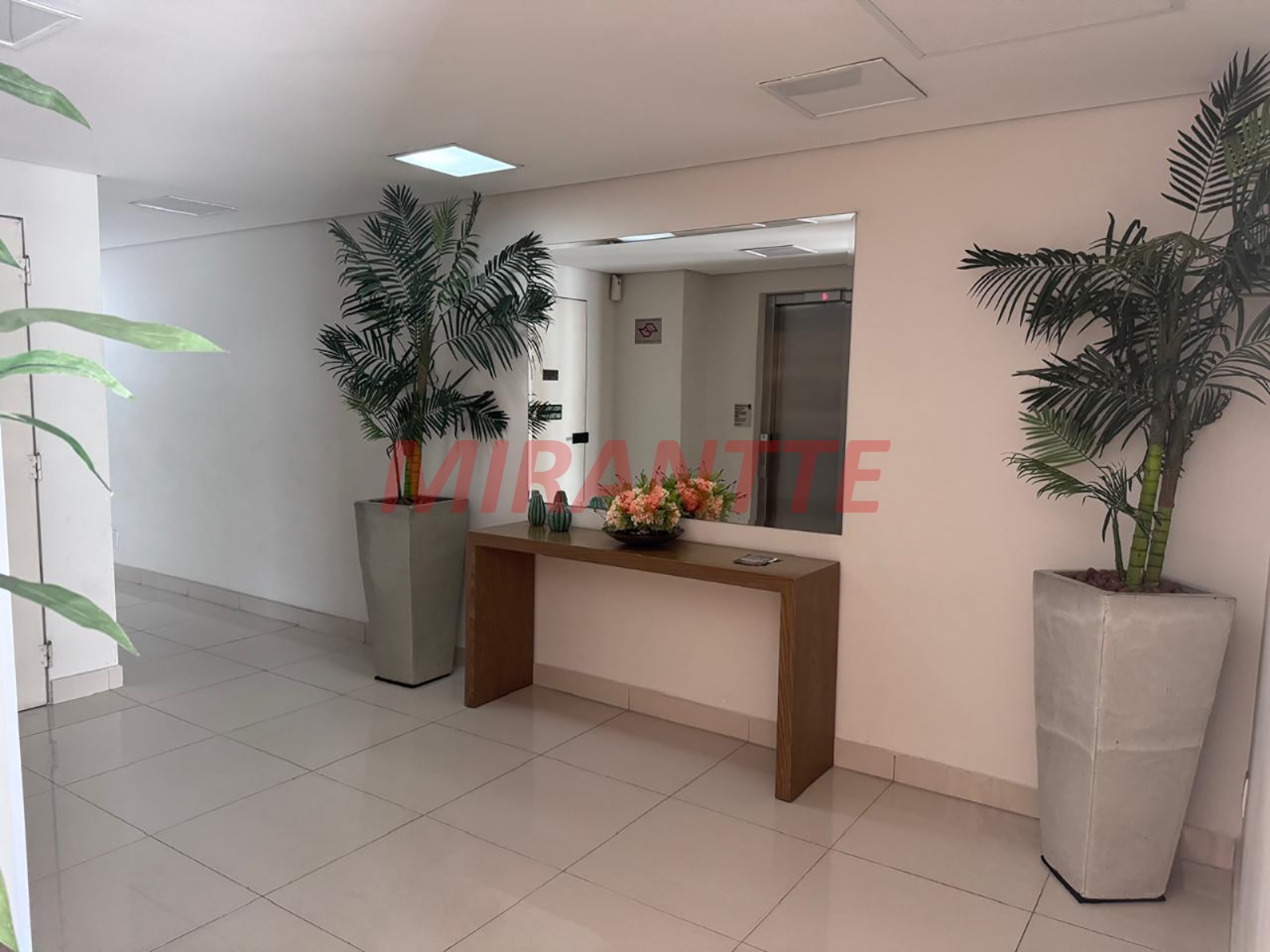 Apartamento de 52m² com 2 quartos em Parque Peruche