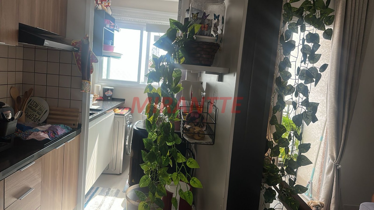 Apartamento de 42m² com 2 quartos em Imirim