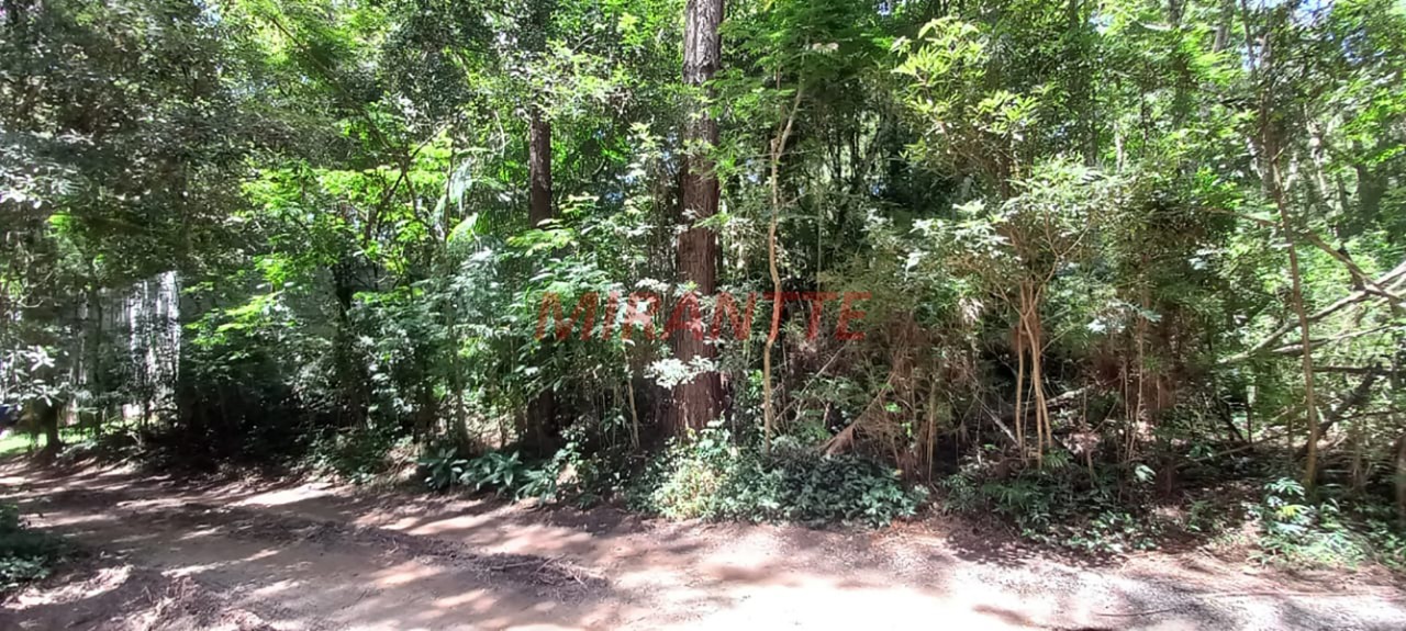Terreno de 0m² em Roseira
