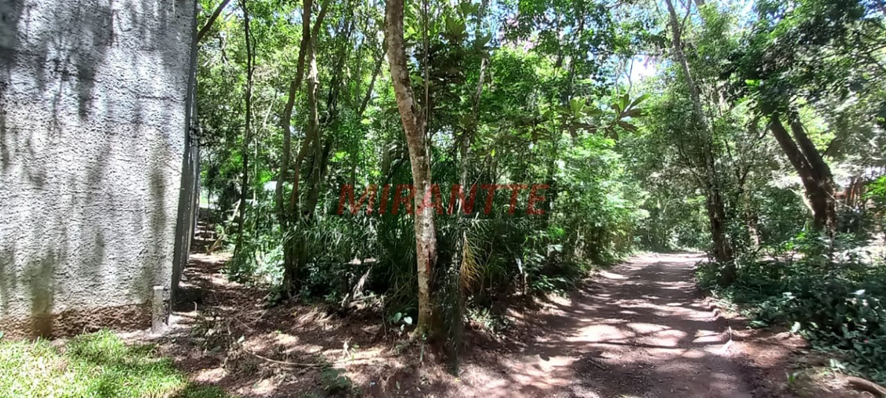 Terreno de 0m² em Roseira