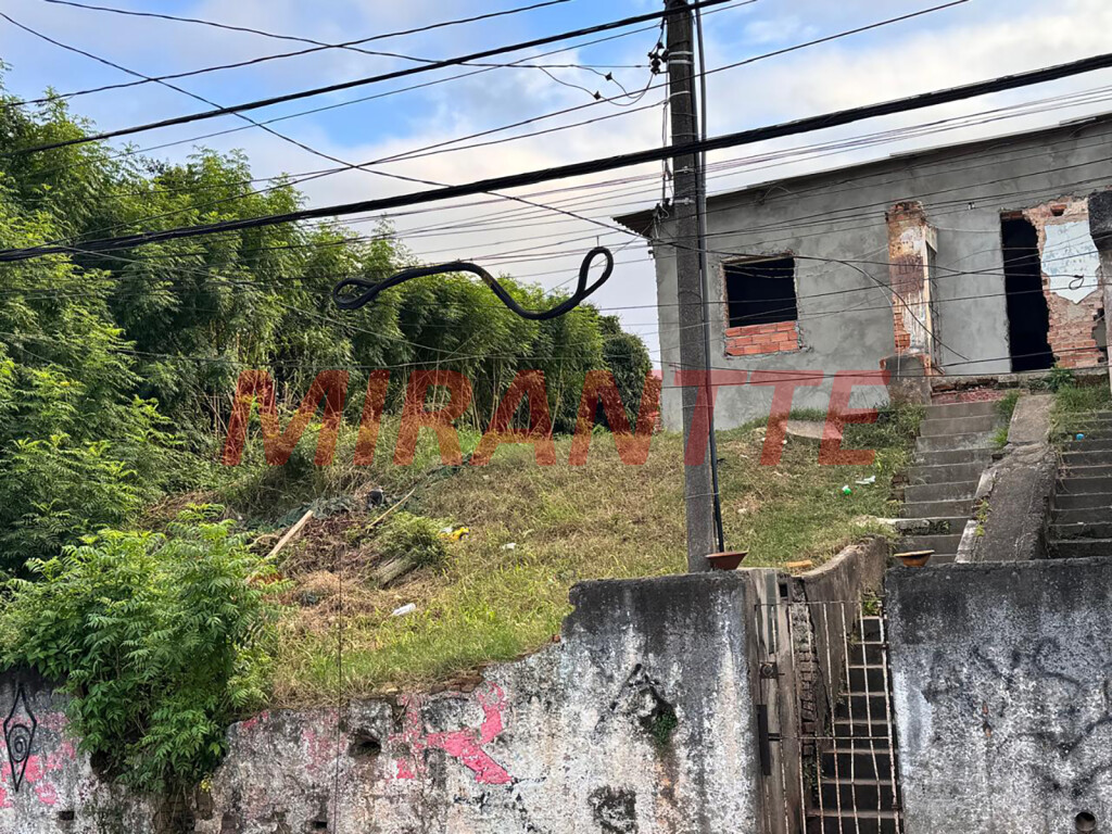 Terreno de 800m² em Vila Santa Maria