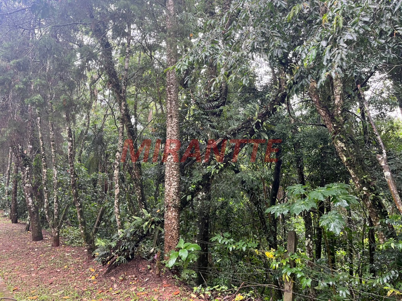 Terreno de m² em Serra da Cantareira