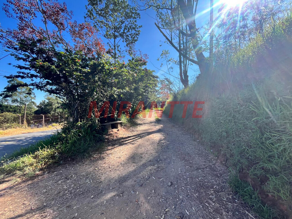 Terreno de 0m² em Apolinário