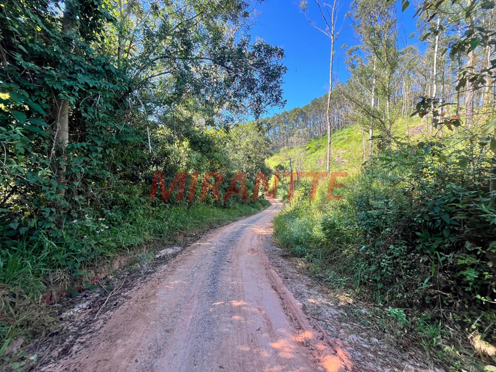 Terreno de 0m² em Apolinário