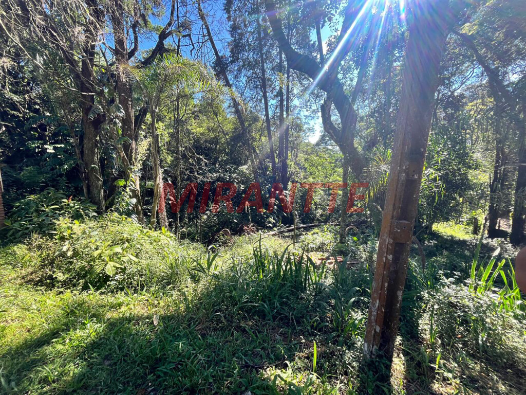 Terreno de 0m² em Apolinário