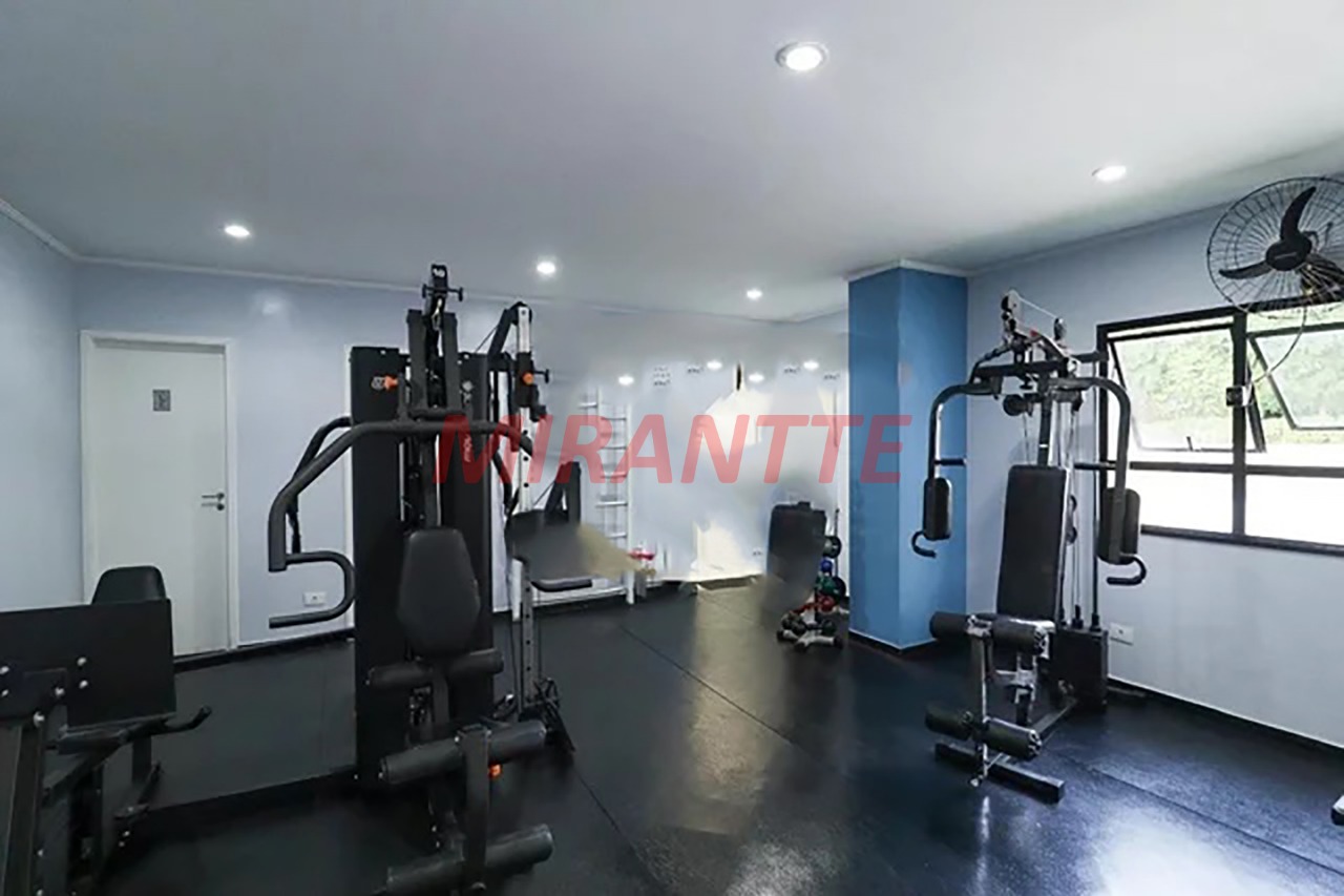 Apartamento de 92m² com 3 quartos em Lauzane Paulista