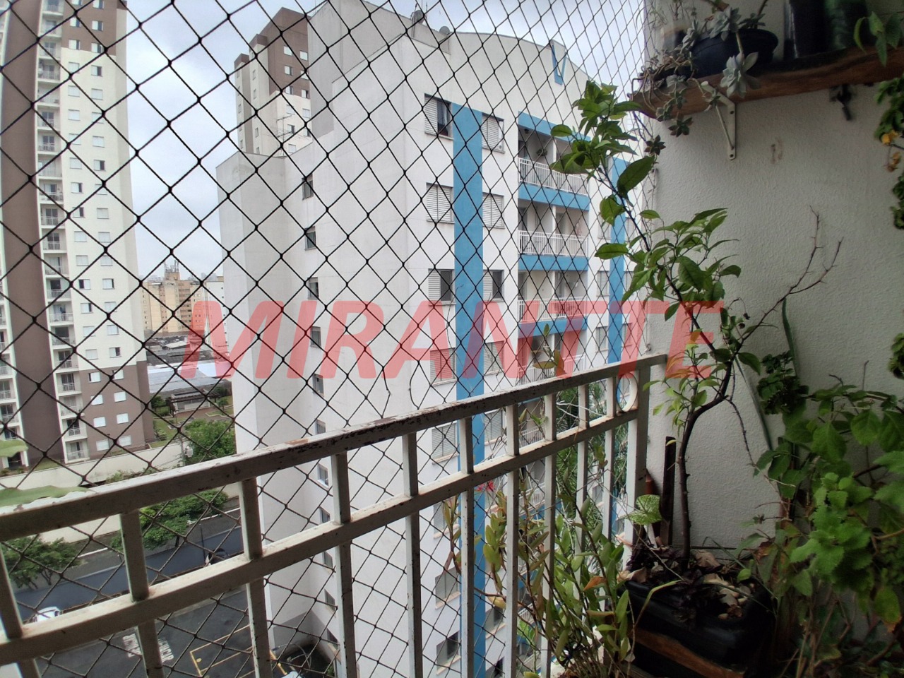 Apartamento de 53m² com 2 quartos em Vila Guilherme