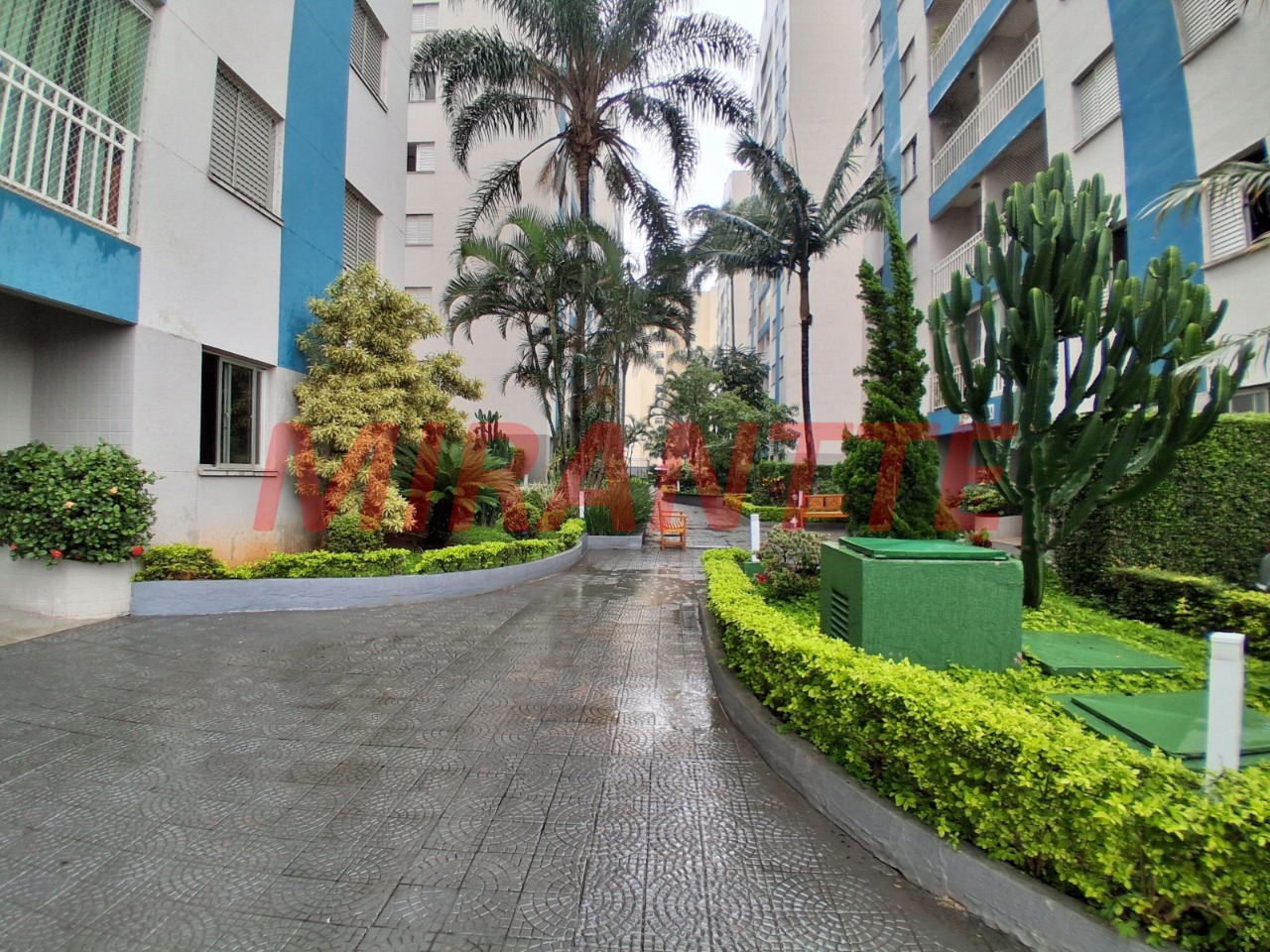 Apartamento de 53m² com 2 quartos em Vila Guilherme