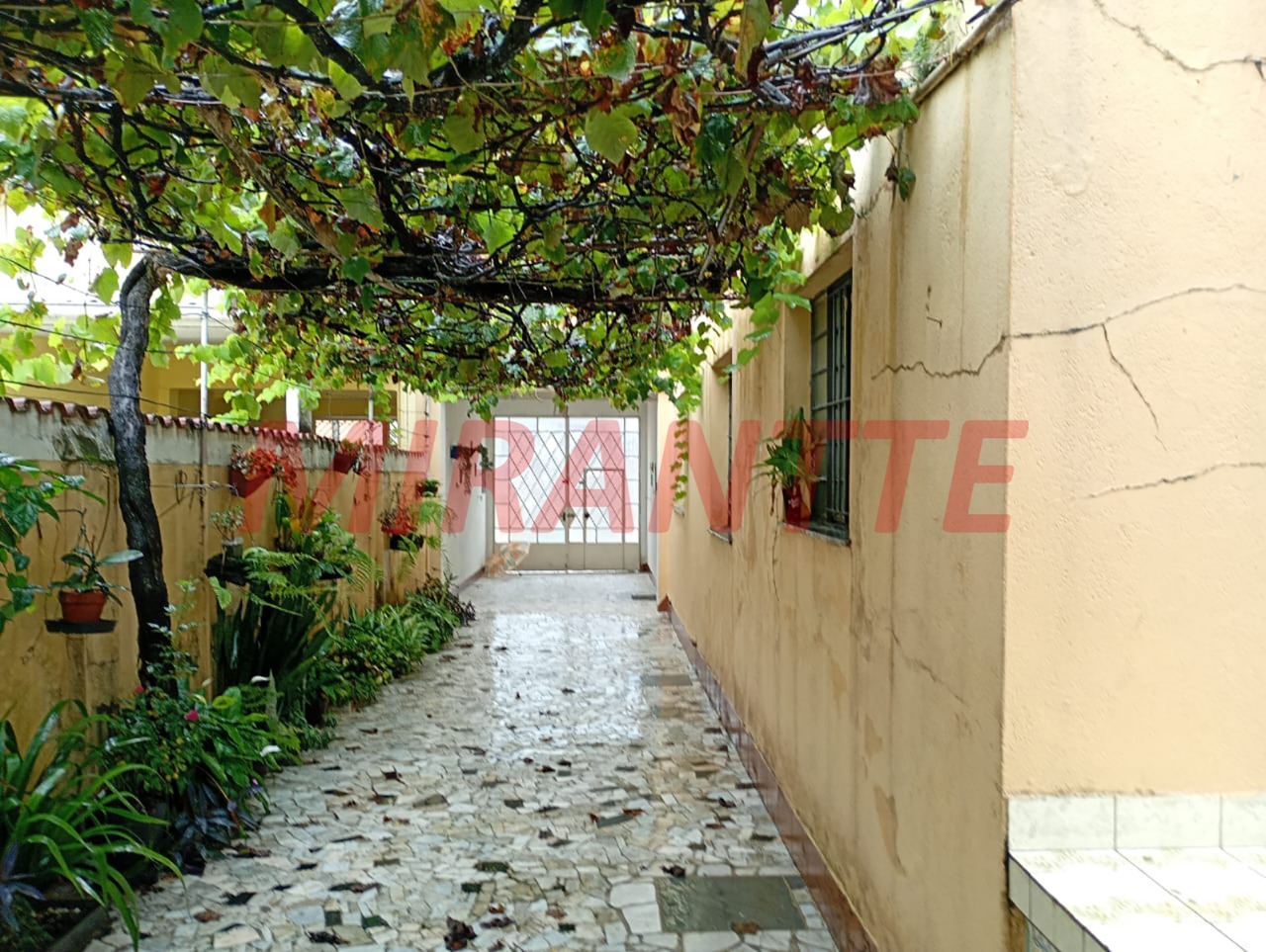 Casa terrea de 262.35m² com 3 quartos em Tucuruvi