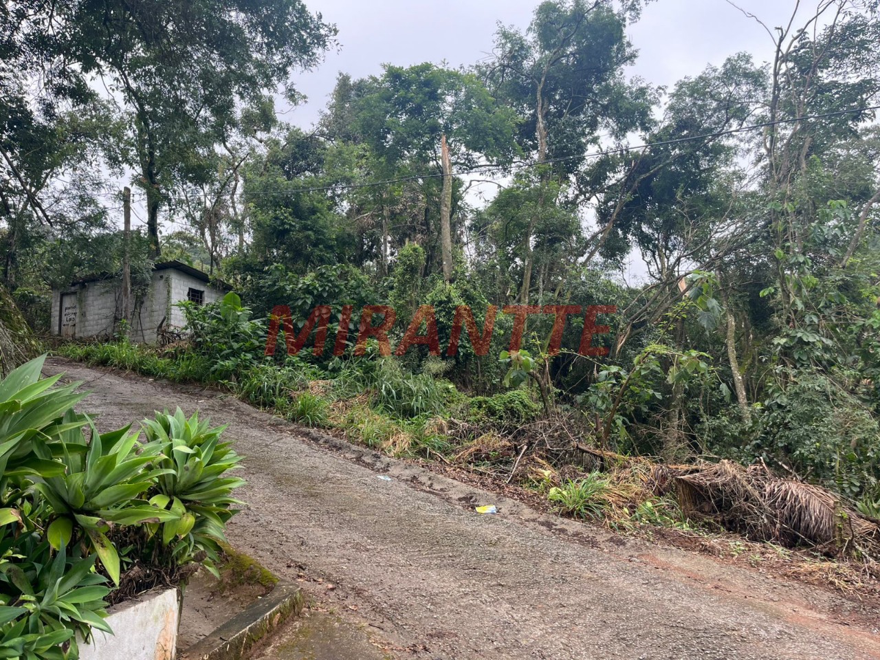 Terreno de m² em Roseira