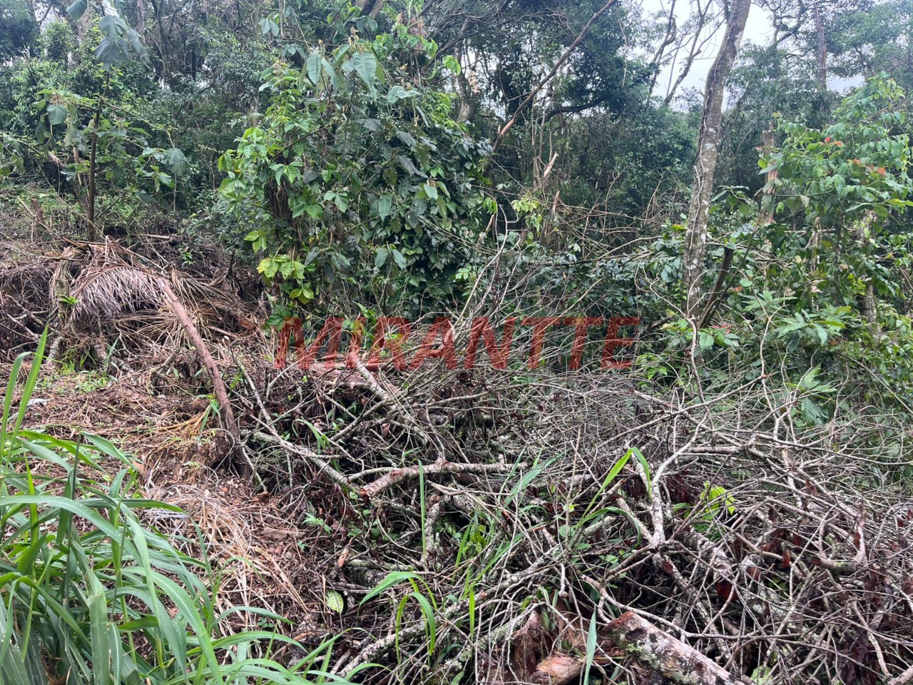 Terreno de m² em Roseira