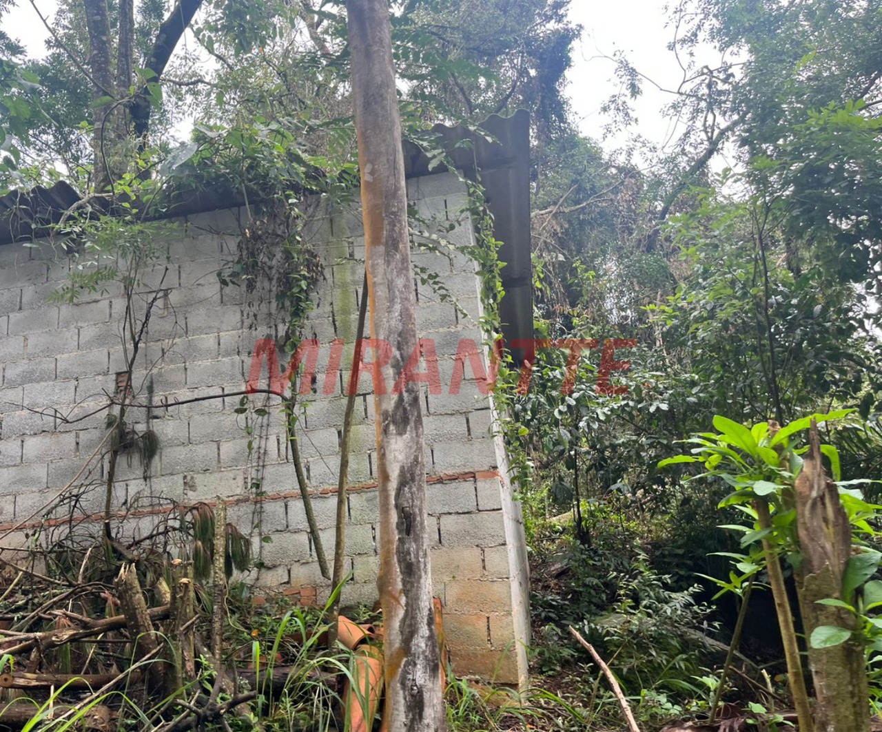 Terreno de 862m² em Roseira