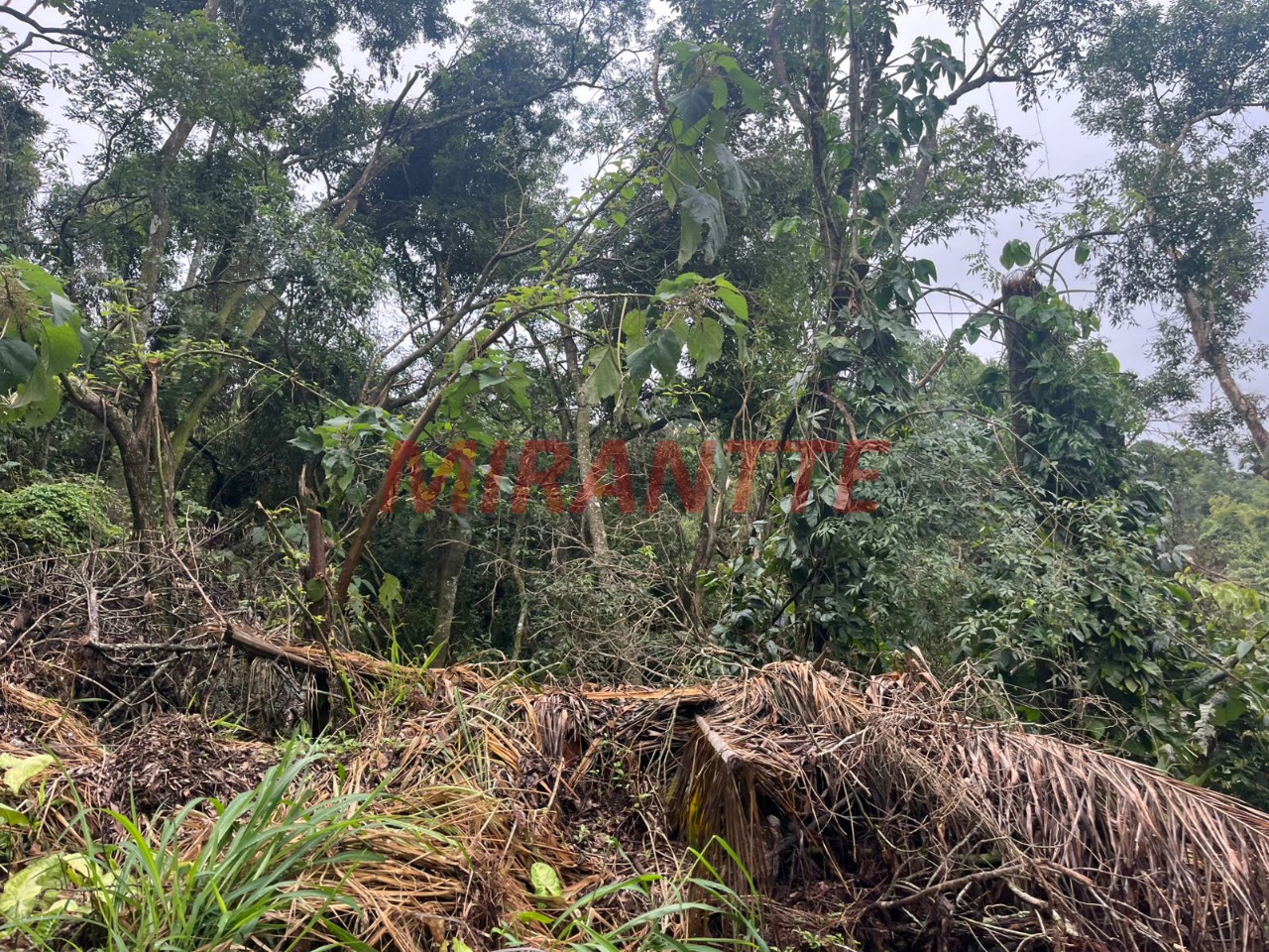 Terreno de 862m² em Roseira