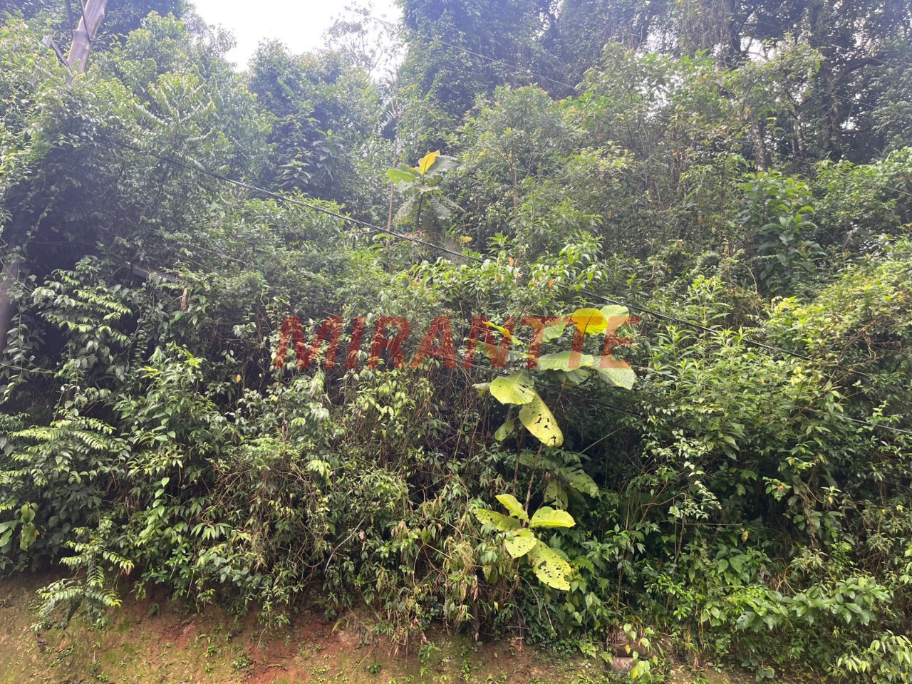Terreno de m² em Roseira