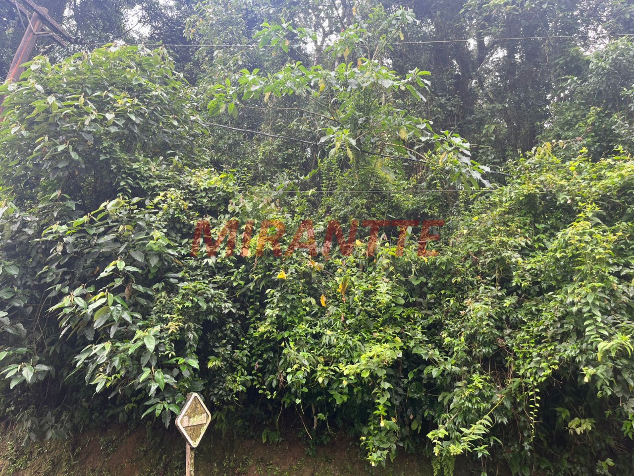 Terreno de m² em Roseira