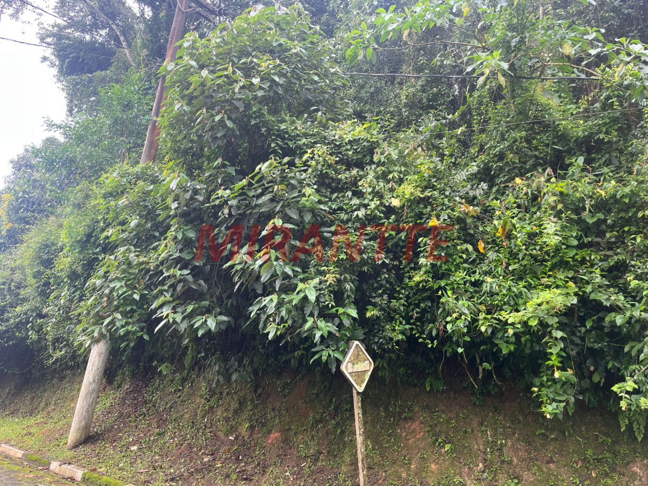 Terreno de m² em Roseira