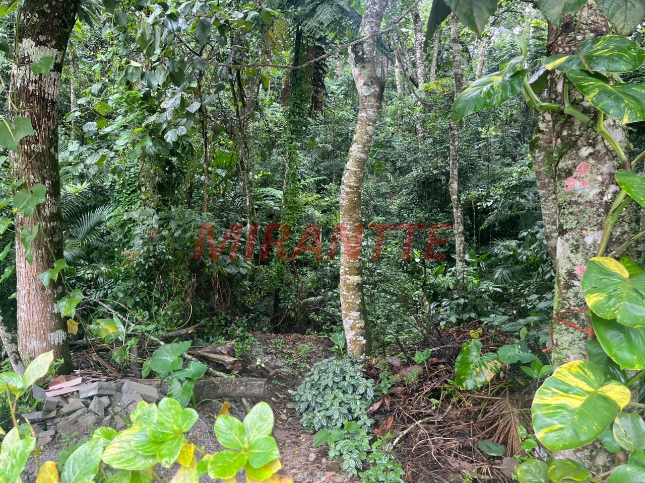Terreno de m² em Roseira