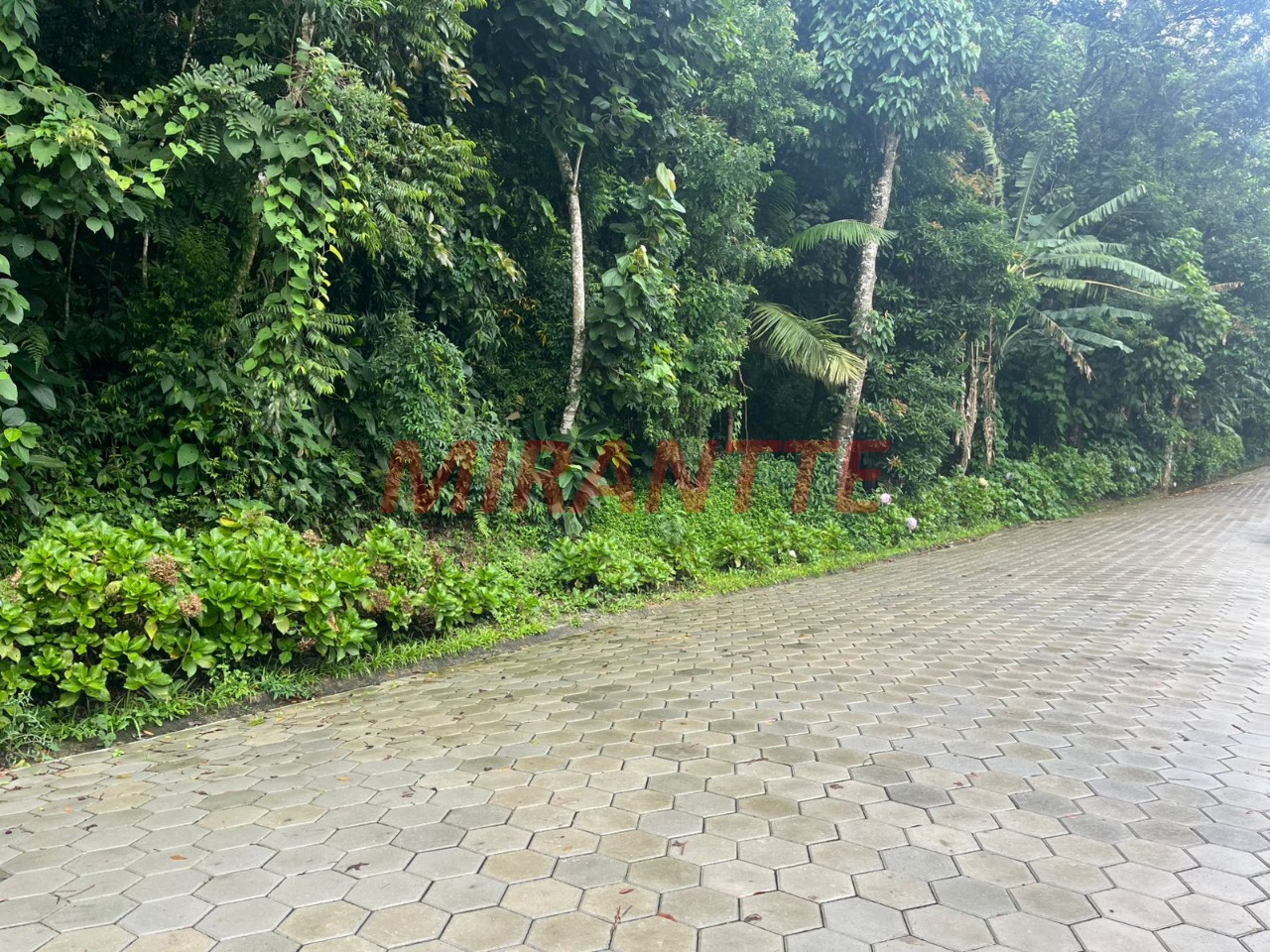 Terreno de m² em Roseira