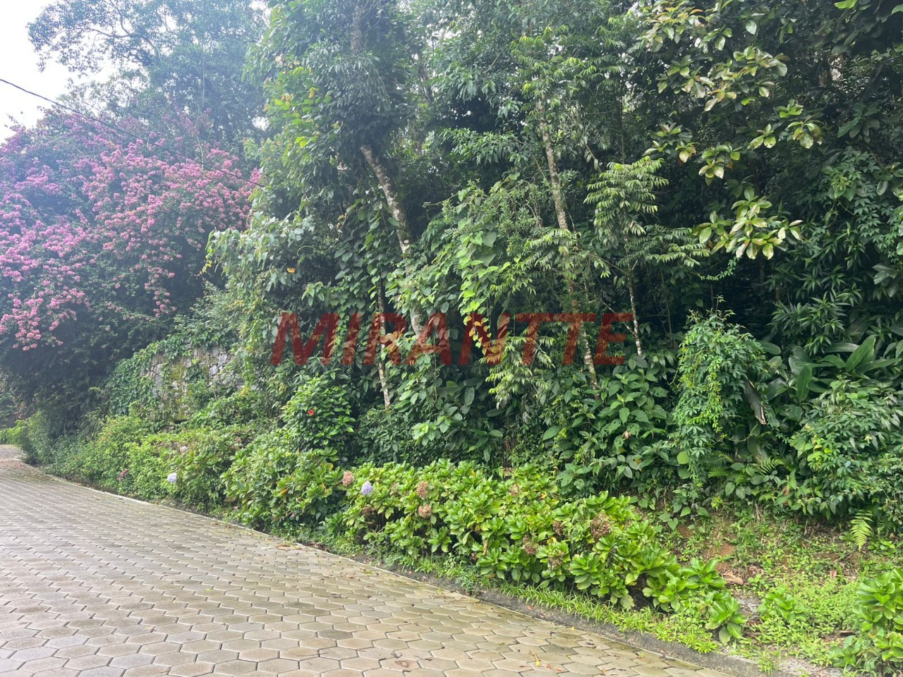 Terreno de m² em Roseira
