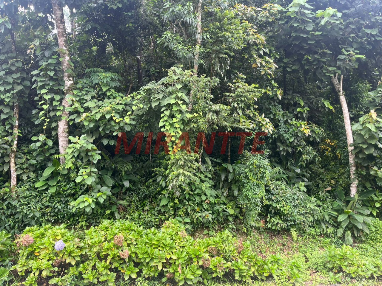 Terreno de m² em Roseira