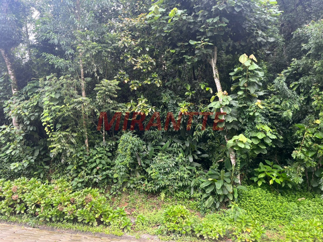 Terreno de m² em Roseira