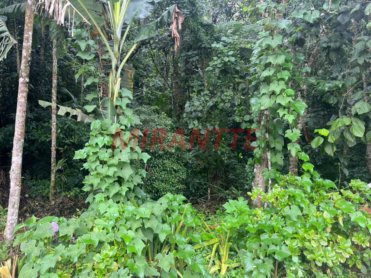 Terreno de m² em Roseira