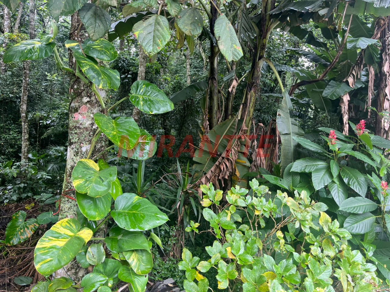 Terreno de m² em Roseira