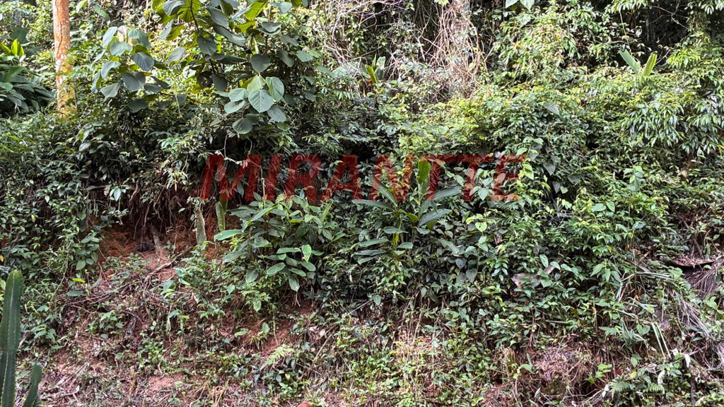 Terreno de 1751m² em Serra da Cantareira