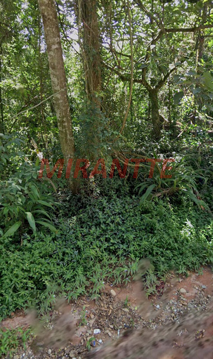 Terreno de 1774m² em Roseira