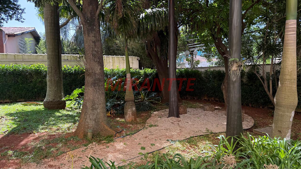 Cobertura duplex de 250m² com 4 quartos em Vila Maria Alta