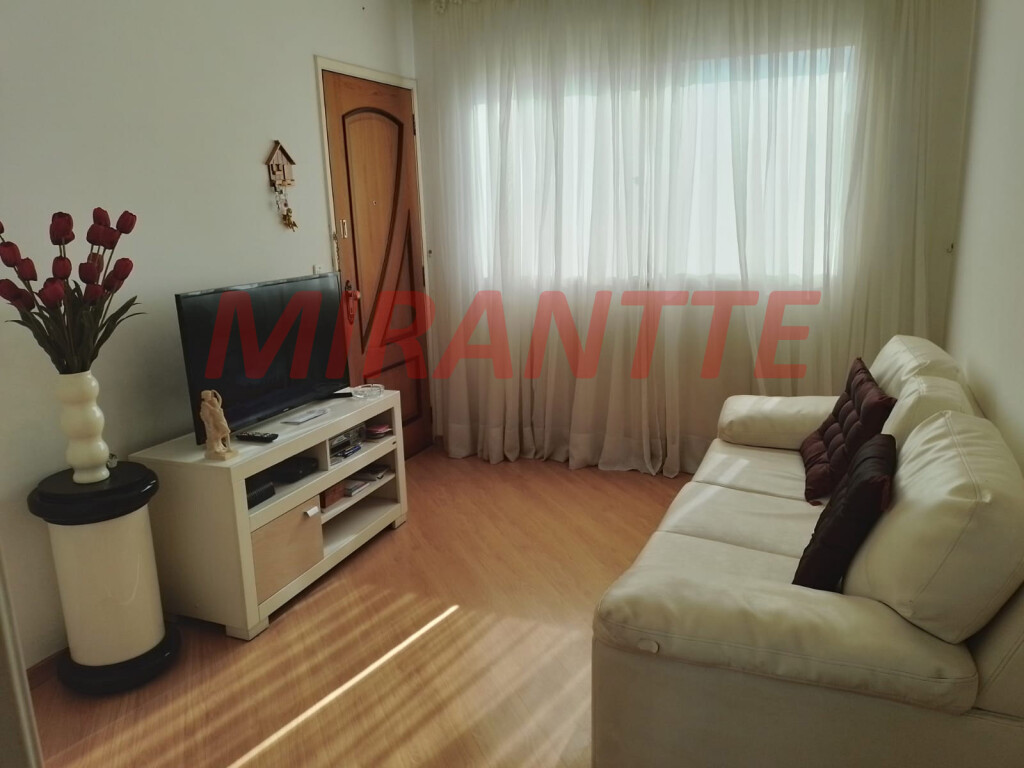 Apartamento de 53m² com 2 quartos em Tucuruvi