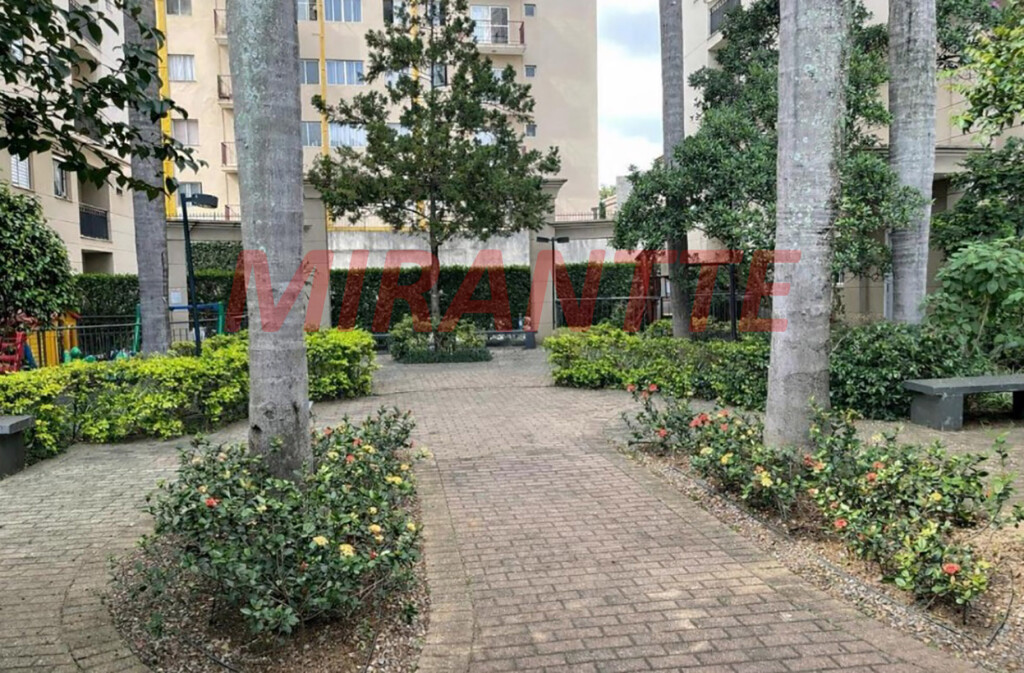 Apartamento de 50m² com 2 quartos em Lauzane Paulista