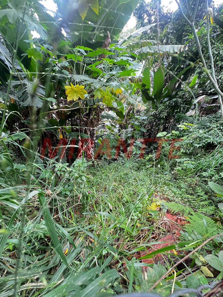 Terreno de 700m² em Vila Albertina