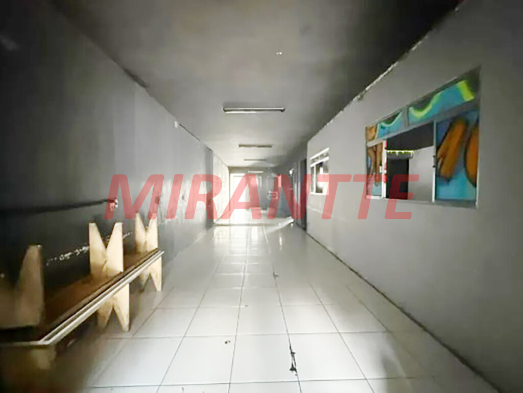 Comercial em Limão