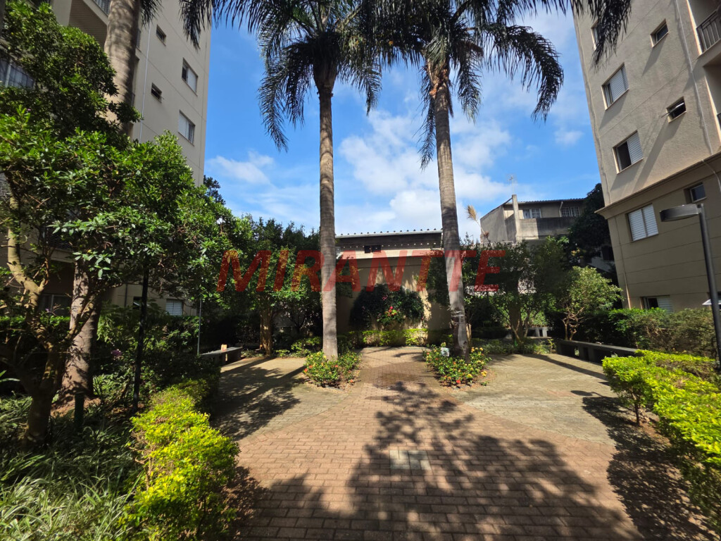 Apartamento de 50m² com 2 quartos em Lauzane Paulista