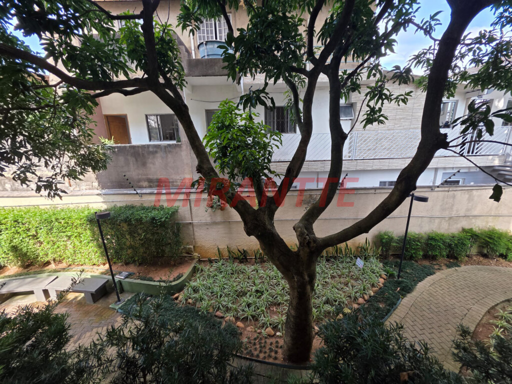 Apartamento de 50m² com 2 quartos em Lauzane Paulista
