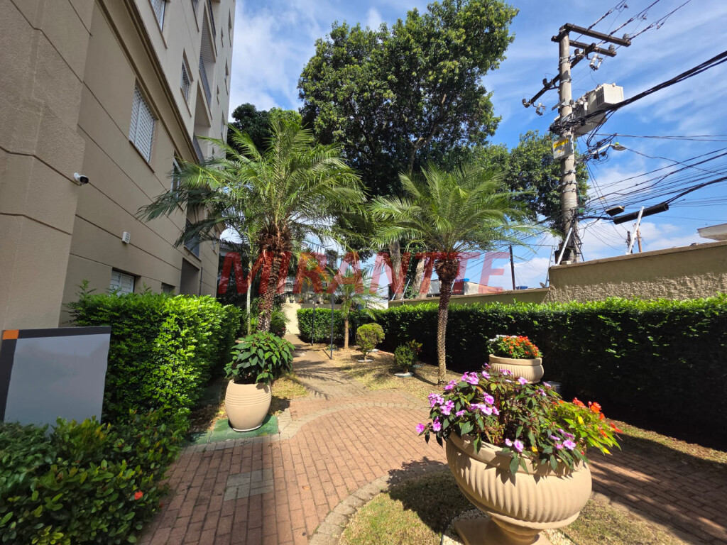Apartamento de 50m² com 2 quartos em Lauzane Paulista
